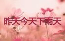 太甜美了!曼里的《 昨天今天下雨天》超级好听,越听越喜欢