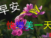2019 早上好新版鲜花祝福图片 早上好祝福 表情问候图片带字