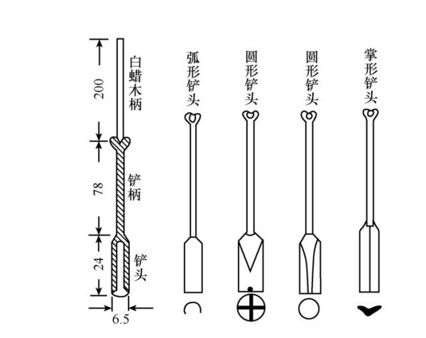 图2-1 洛阳铲(单位:cm)