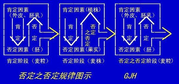 否定之否定是什么意思为什么事物发展都要经过否定之0