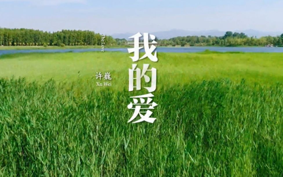 许巍 最新单曲《我的爱》风景如画高品质mv!
