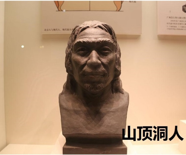 1929年,在北京周口店的山洞里,中国考古工作者发现了一个完整的远古