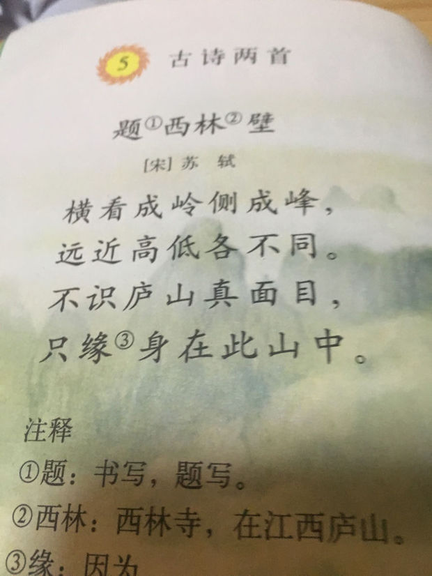 题西林壁的意思,短一点