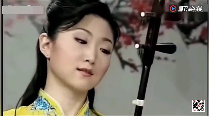 二胡演奏《射雕英雄传-铁血丹心》,只有二胡才能拉出的韵味!