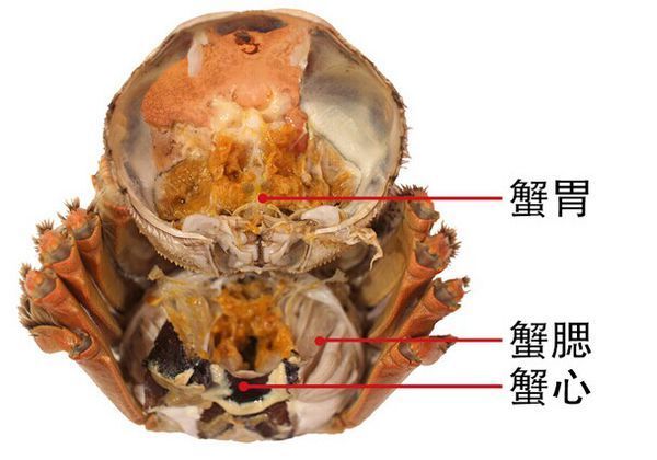 螃蟹怎么吃图解 怎么吃螃蟹 螃