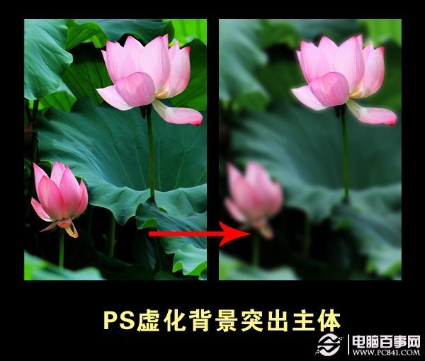 ps虚化背景突出主体 photoshop高斯模糊实例教程