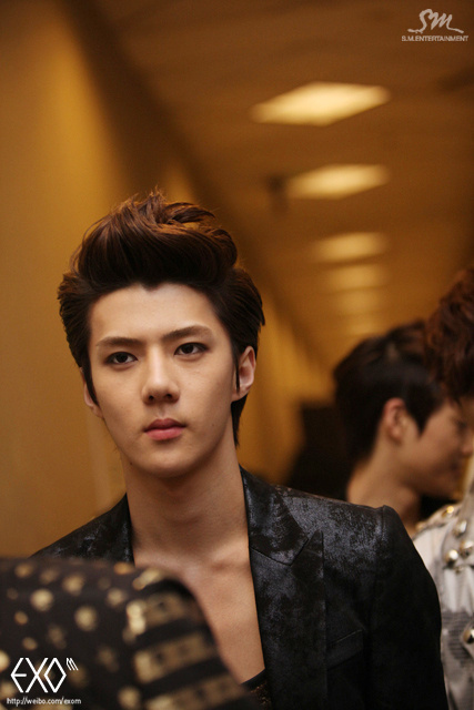 狼奔发型是什么样子的?