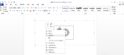 CAD图加载到WORD里面是回事空白cad是怎么粘贴总是图片图片