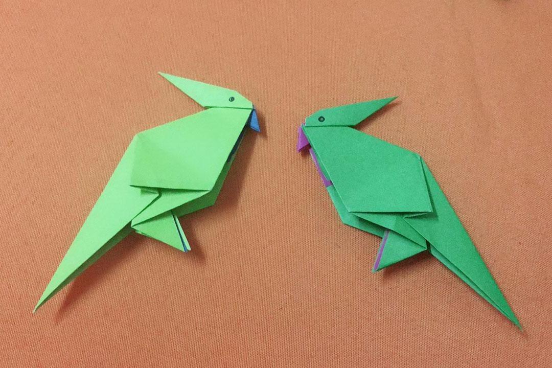 视频:手把手教你折一个折纸鹦鹉,做法非常简单,3分钟就做好了
