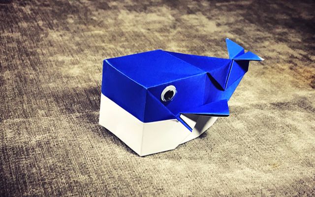 纸在乎你 手工折纸 可爱的蓝鲸鱼折纸视频