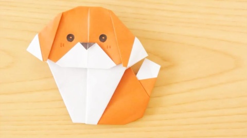 动物折纸diy,教你折纸制作"小狗"的方法,适合孩子们学习