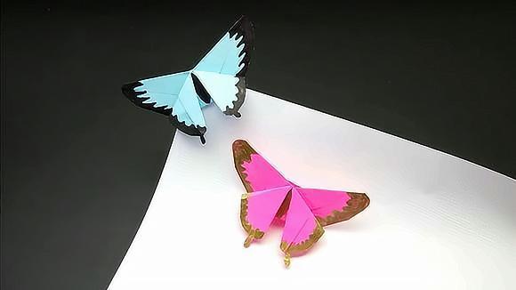 视频:教你做个这么漂亮的蝴蝶书签,怎能不爱上阅读呢?手工折纸大全