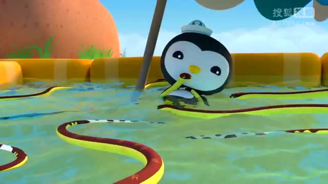 动画片海底小熊队图片