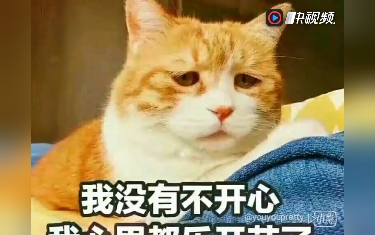 爱谁谁,乌龟怕铁锤,劳资打完了再问挨打的是谁.