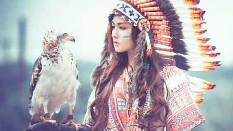 最后的莫西干人剧情