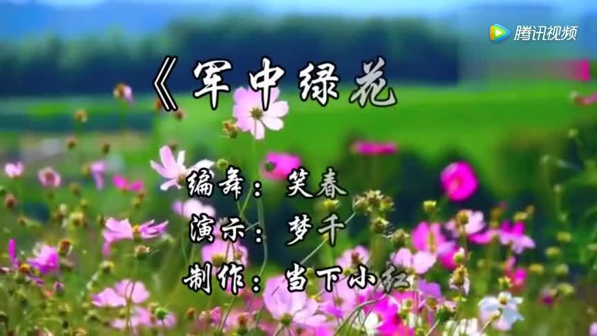 军营歌曲广场舞《军中绿花》温情感人,你想家了吗