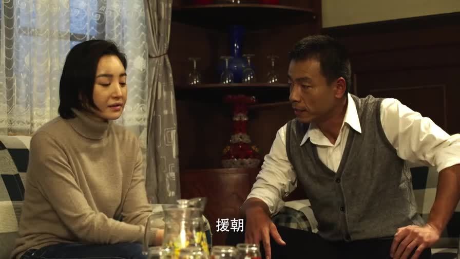 《 养母的花样年华》王开翠要和董援朝离婚 是因为睡觉不抱她吗