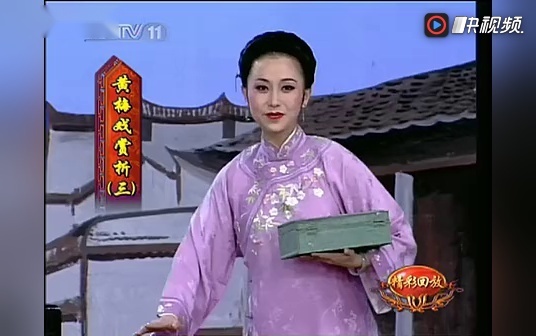 周源源《风雨丽人行》黄梅戏