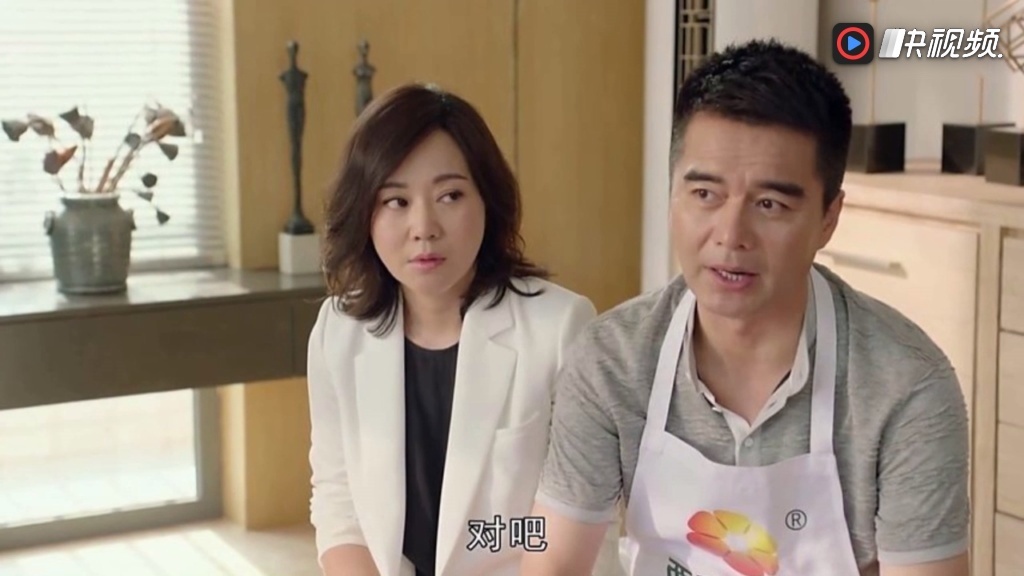 太太万岁电视剧49集