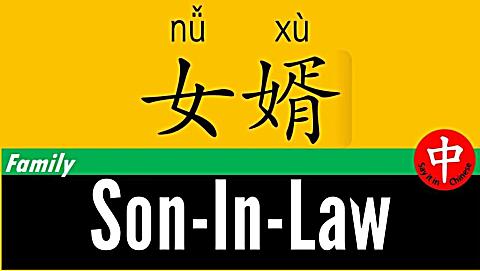 son-in-law用汉语 普通话怎么读 汉字女婿的书写笔顺?