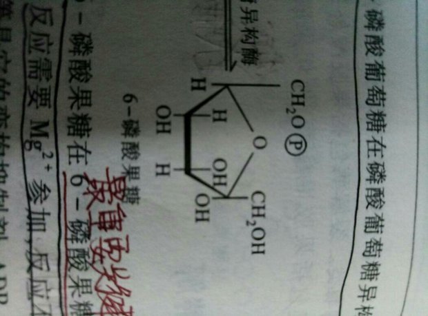 果糖,为什么果糖_6-磷酸的二号碳下是-oh,而果糖是-h