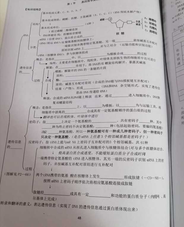 高中生物基因指导蛋白质的合成知识框架图