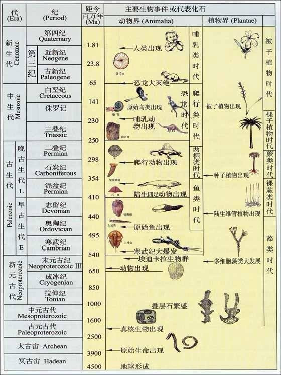 地质年代表