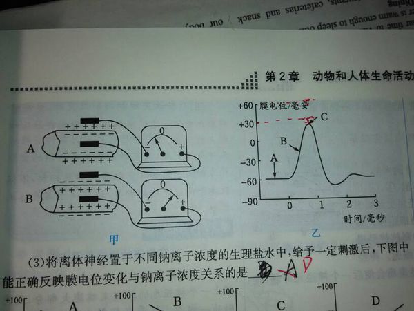 高中生物.如图甲是测量神经纤维膜内外电位的装置,图.