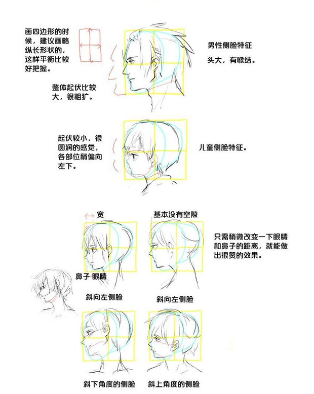 动漫侧脸,斜侧的五官比例及画法.求图解