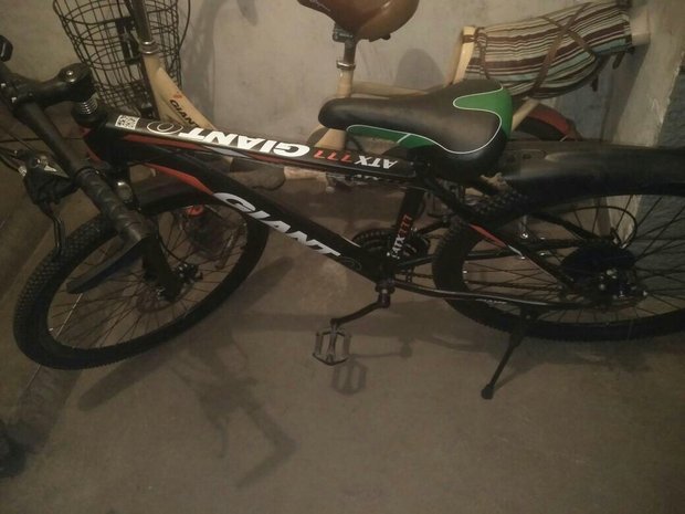 捷安特是真假