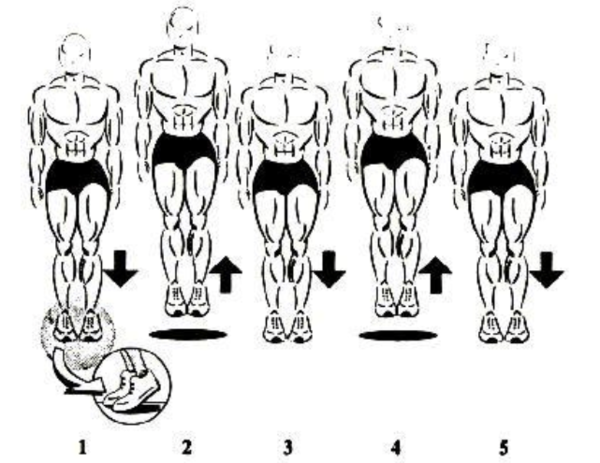 美国著名弹跳力训练计划是什么?