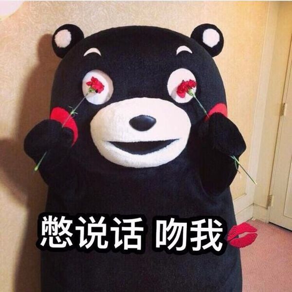 熊本熊,别说话1吻我的表情为什么图片痛苦大全的表情包图片