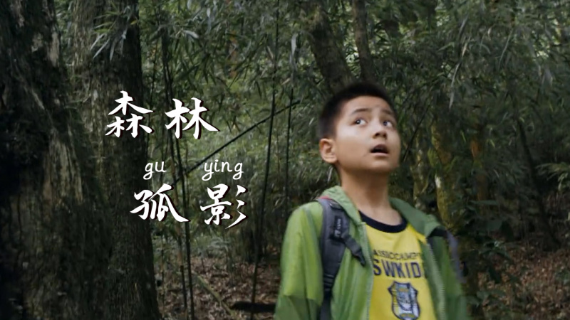 森林孤影:男孩迷失 森林,孤身一人遭到蛇的袭击,画面太可怕了