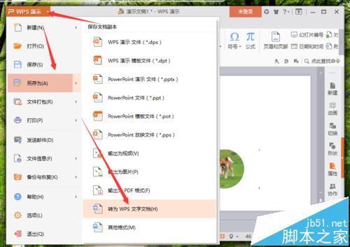 3,点击转为wps文字文档选项后,这个时候会打开"转为wps文字文档"
