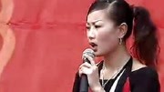 民间小调 刘晓燕说唱《离家的孩子,劝世人》