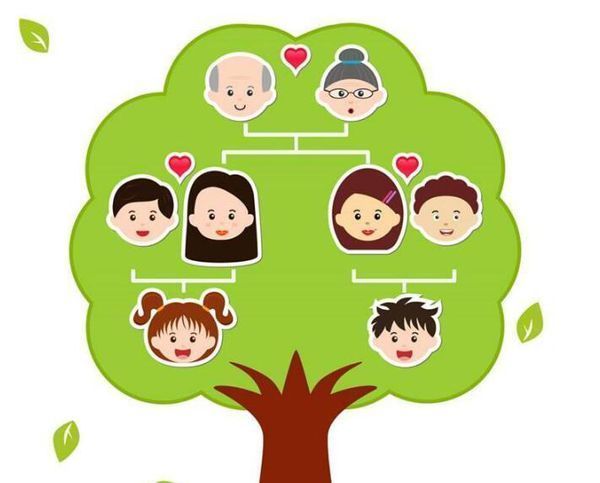 英语家庭树怎么写?