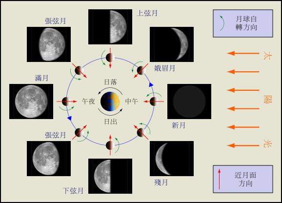 早上太阳和月亮分别高挂东西方的天空,没有了地球的遮挡,为什么看到的