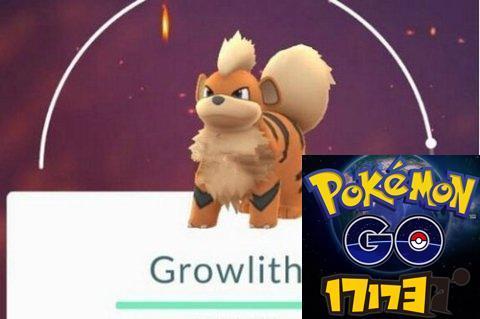 pokemongo卡蒂狗捕抓方法 pokemongo卡蒂狗分布坐标