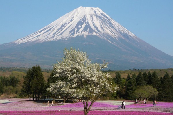 富士山作为日本著名景点,为何却是私人财产?