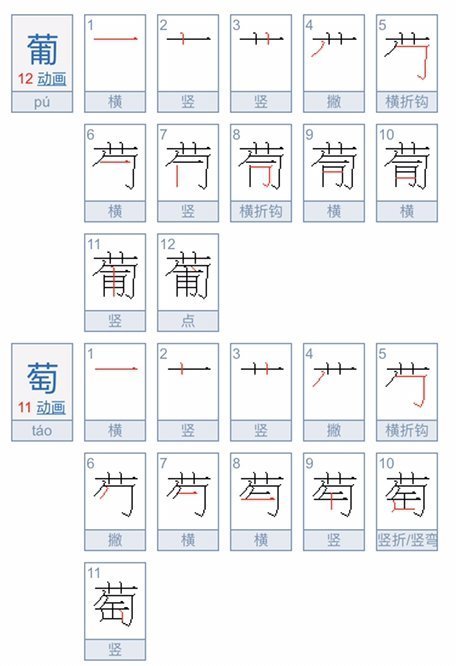 葡萄两个字笔顺?