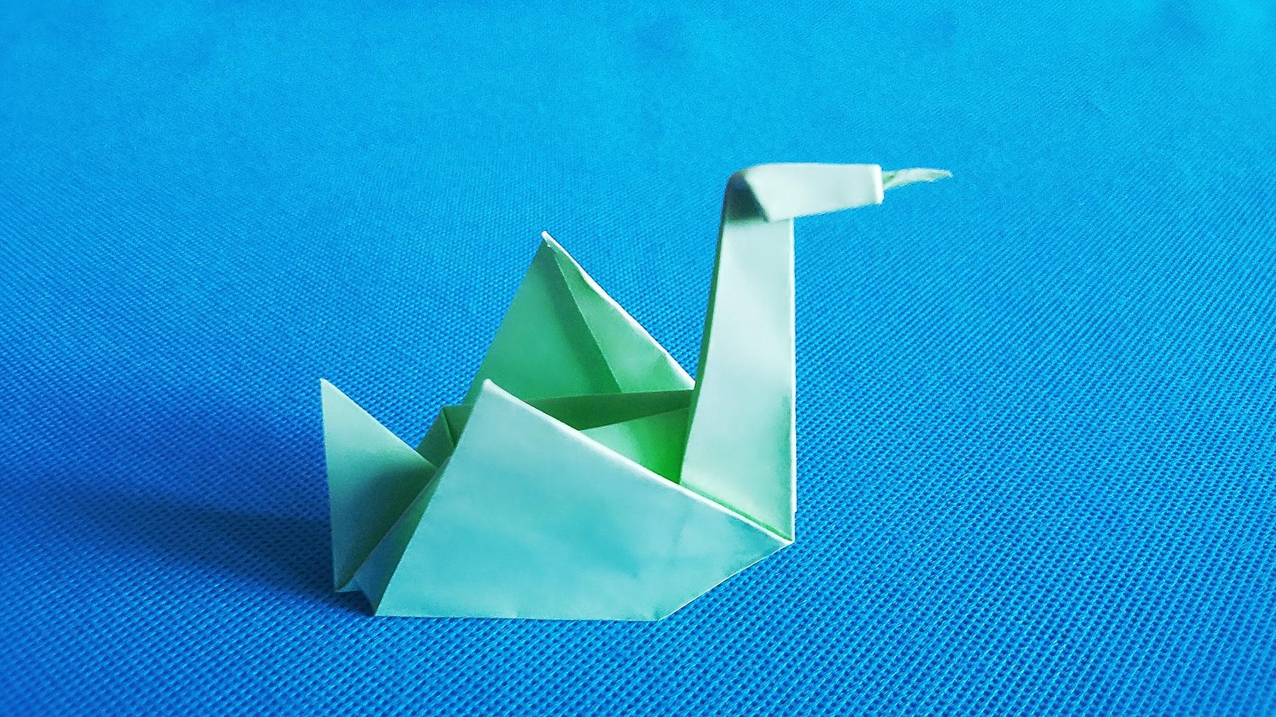 折纸王子:小天鹅折纸大全教程讲解详细一看就会