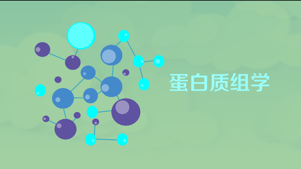 蛋白质组学:以 蛋白质组为研究对象的科学
