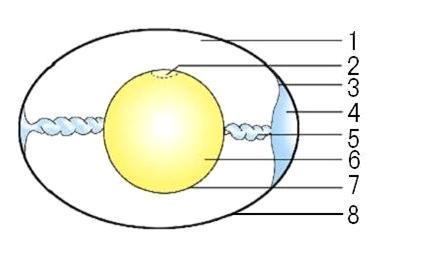 (每空1分,共9分)如图为鸟卵的结构图,据图回答问题(1)图中的1是指