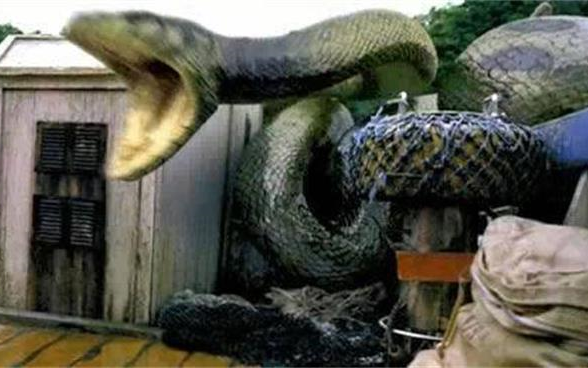 几分钟看完怪兽片《 狂蟒之灾1》二十米长的远古巨蟒大战玩蛇老汉