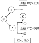 如图是血糖调节的部分过程图解.甲,乙表示器官,a,b表示相应激素.