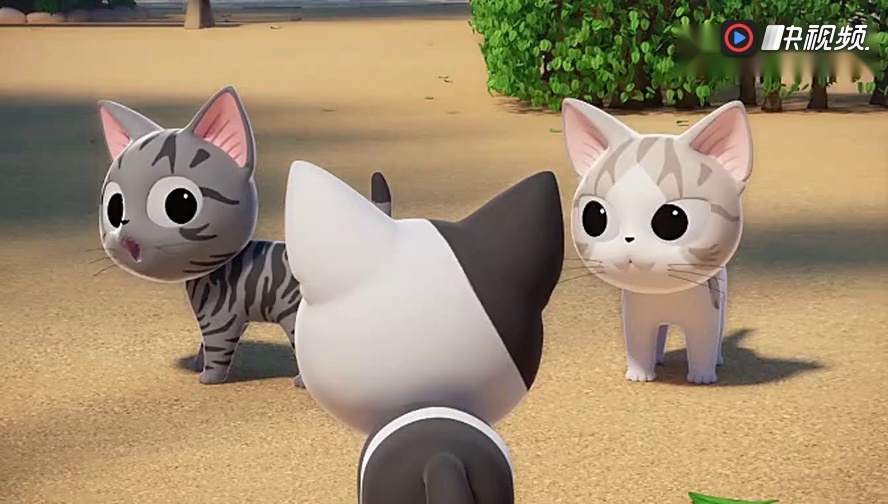 甜甜私房猫之小猫咪找妈妈