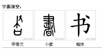 "书"字的写法,从甲骨文到现代汉字