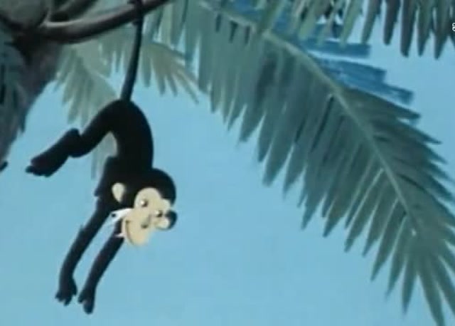1958年国产动画片 过猴山,50后的童年记忆