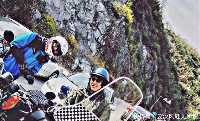 盘尼西林熊花图片大全 Uc今日头条新闻网