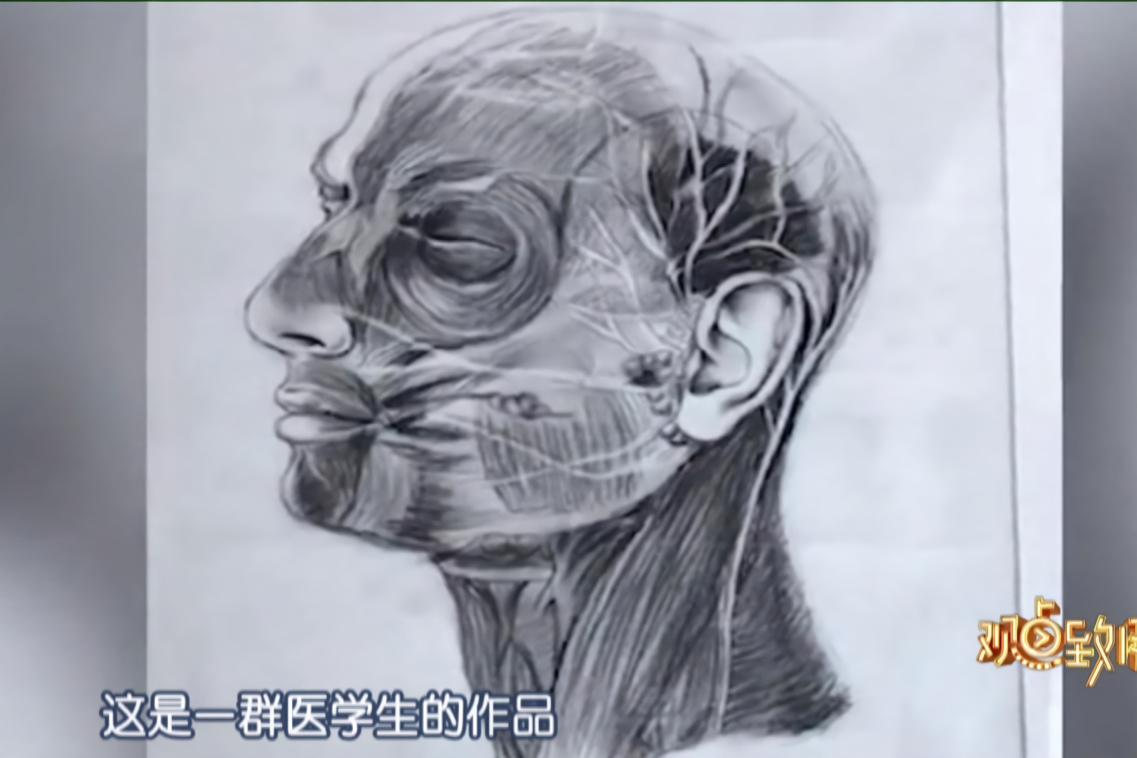 被耽误的灵魂画手!医学院学生 画人体解剖素描走红